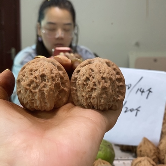 吊坠文玩核桃41血麒麟有水尖