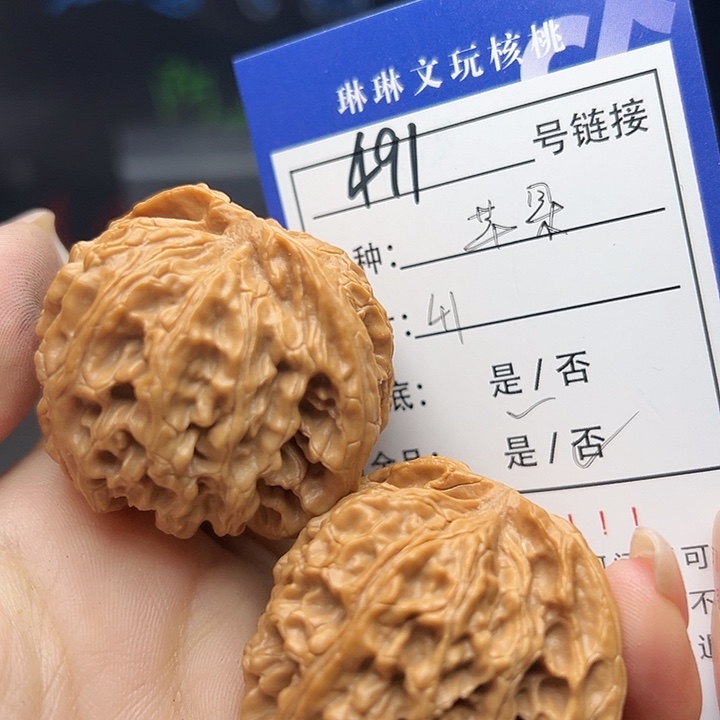 文玩核桃吊坠核桃树491