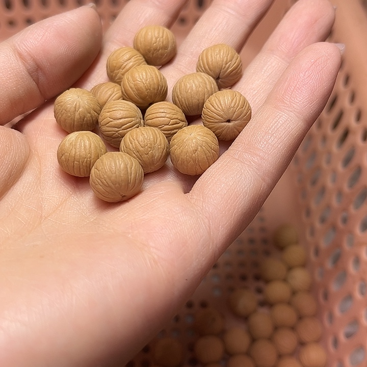 千***荷猴头核桃手串土豪散珠100颗