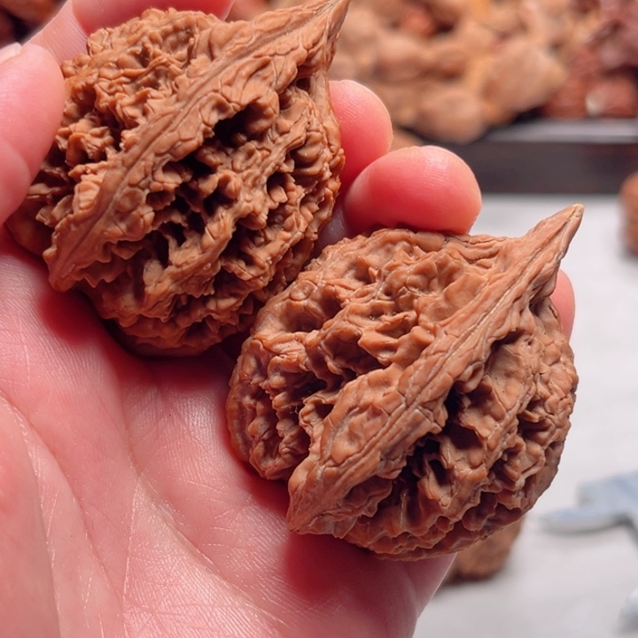 道***然把件文玩核桃野生麻核桃龙梅谷九龙筋43尺寸