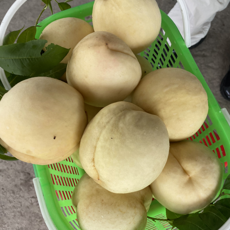 万灵-【密澳桃】10斤装