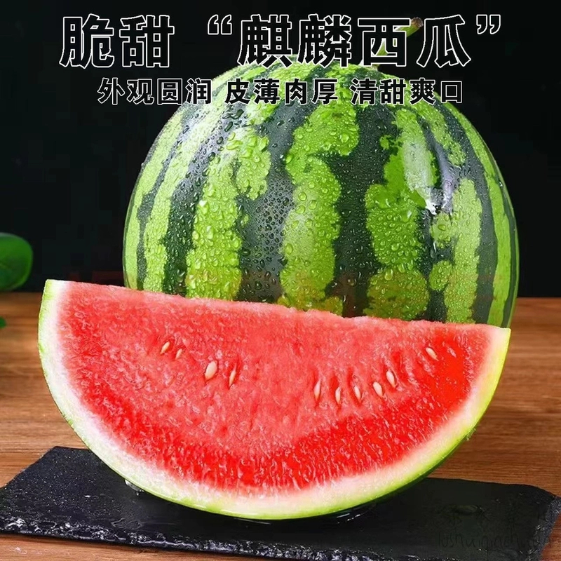 【顺丰快递 送货上门】【皮薄脆爽】10斤无籽正宗无籽麒麟西瓜 4-10斤当季新鲜水果脆甜爆汁11%-15%糖度云南省