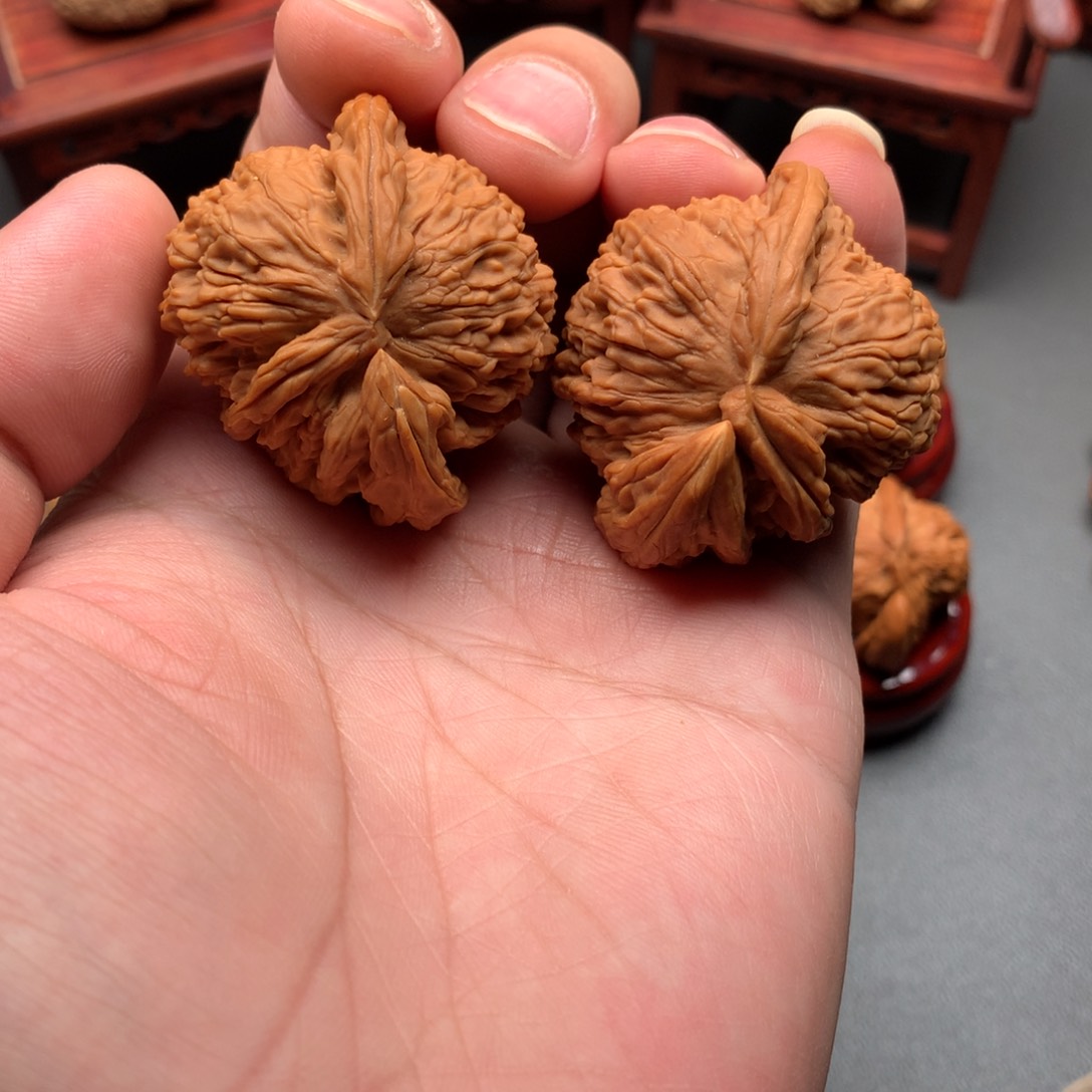 文玩核桃把件白狮子三棱犀牛角