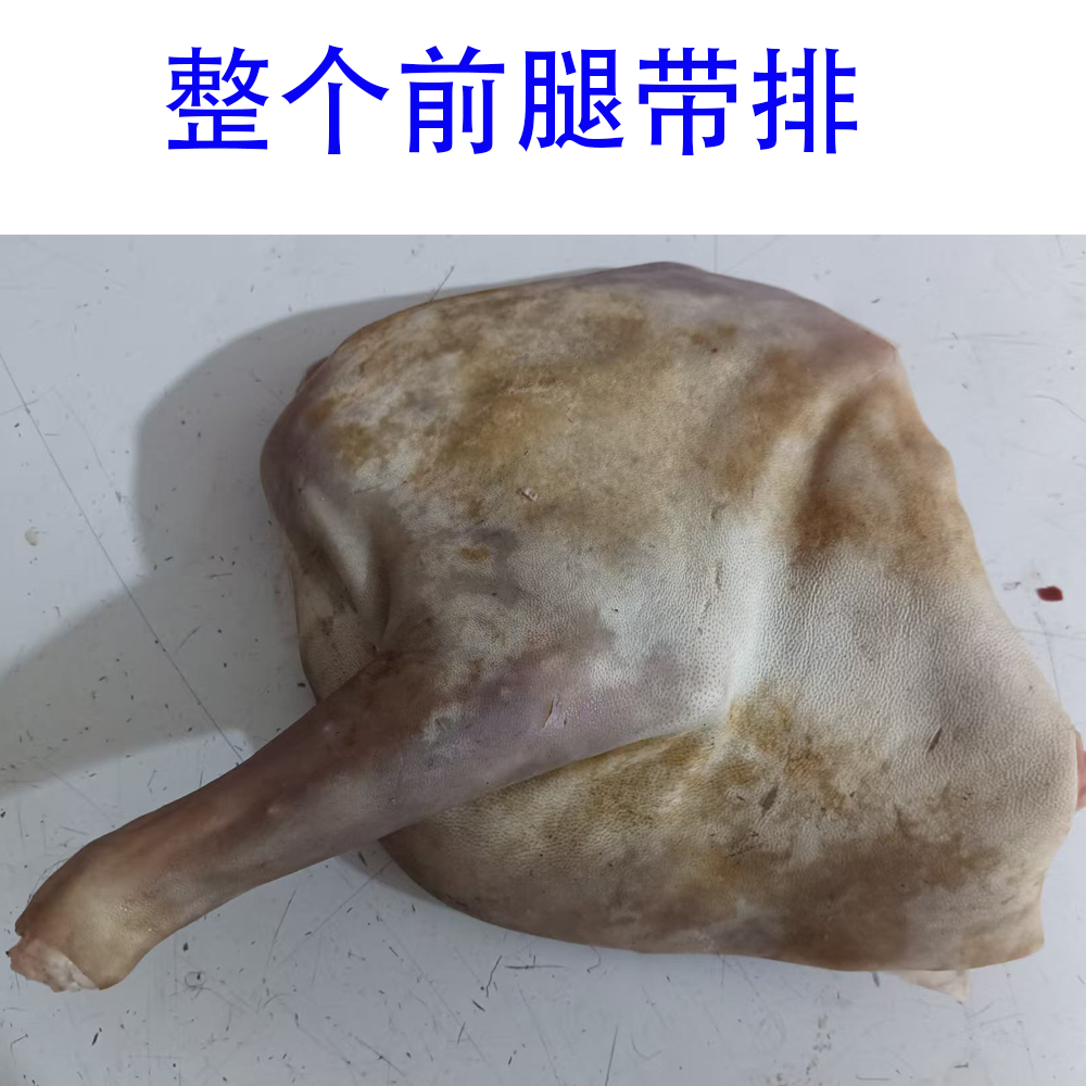 黑山羊 前腿带排 云南本地土羊 放养山羊 小耳朵正宗跑山羊 