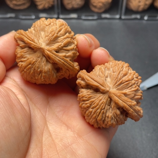 【闪购商品】把件文玩核桃球白………