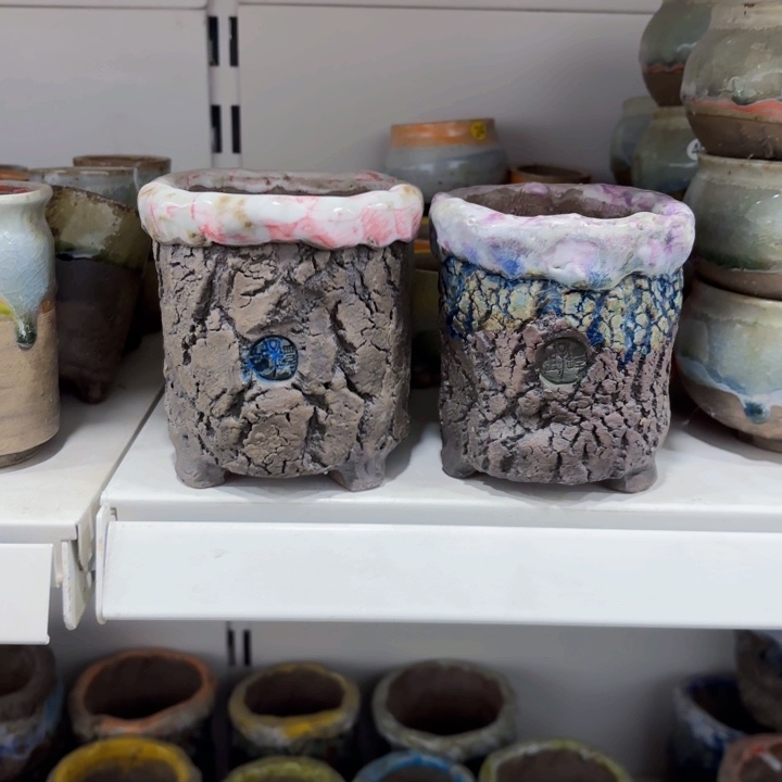 红陶迃****）内口长有细的