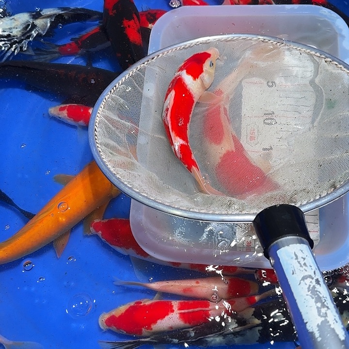 *****海水会更好哥哥哥哥发嘿嘿