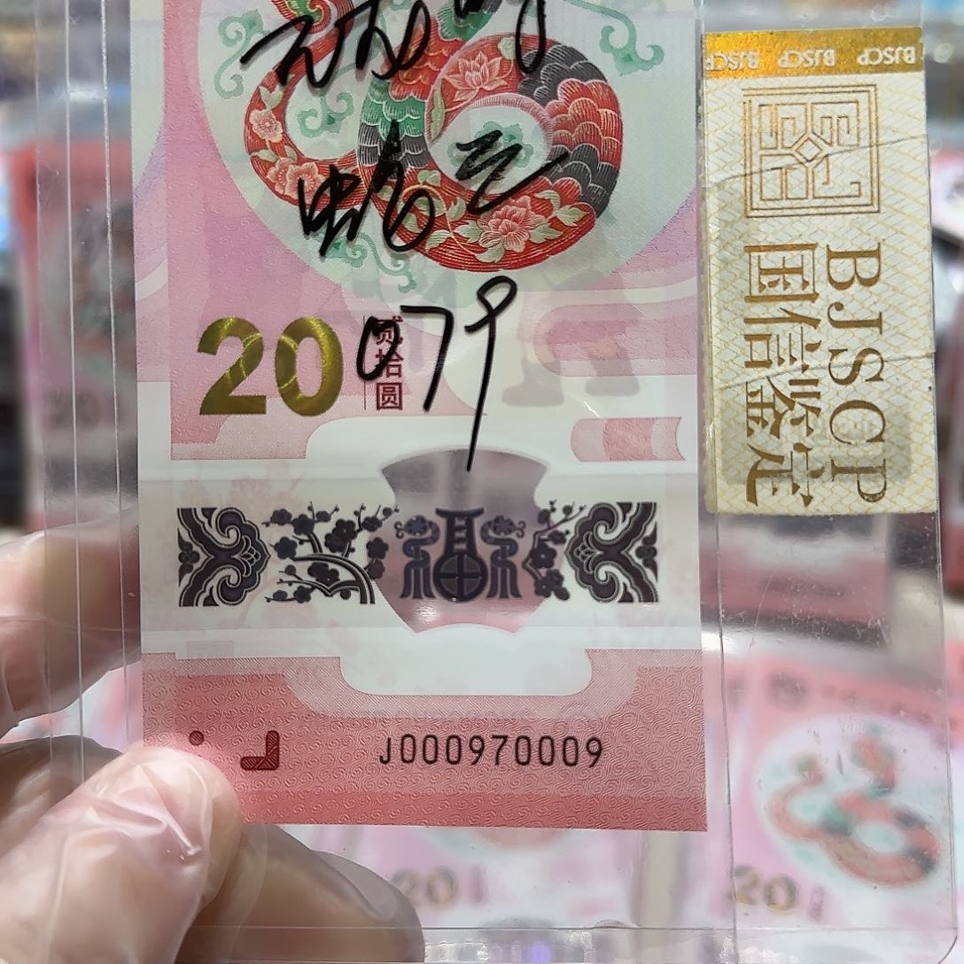 纸000970009。。。。。。。。6龙珠数3