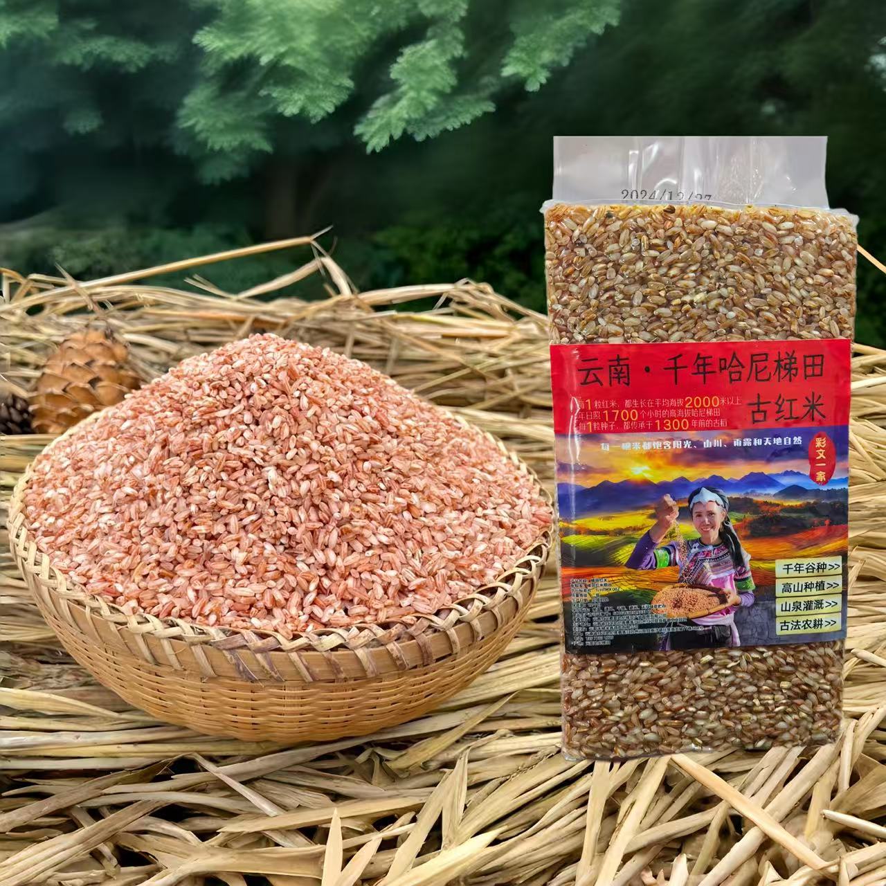 云南农家自产红米糙米新米五谷杂粮可煮粥