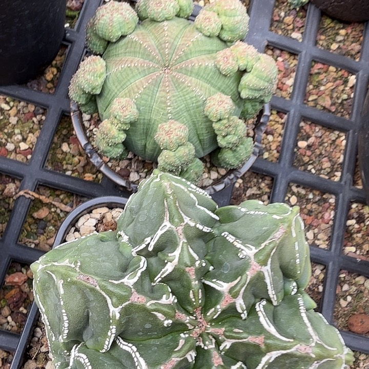 福利福利福利福利福利福利