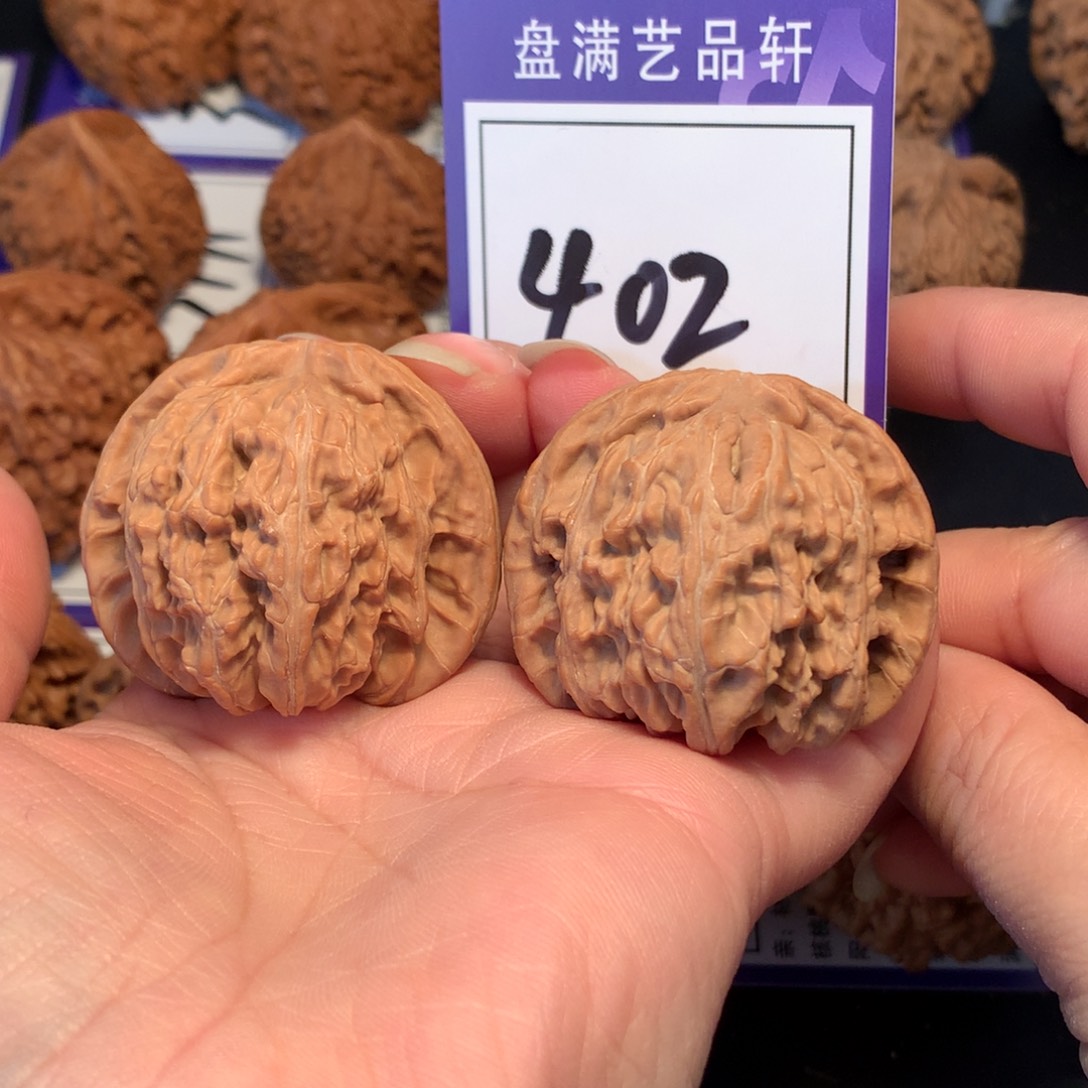 核桃402白狮子42.5