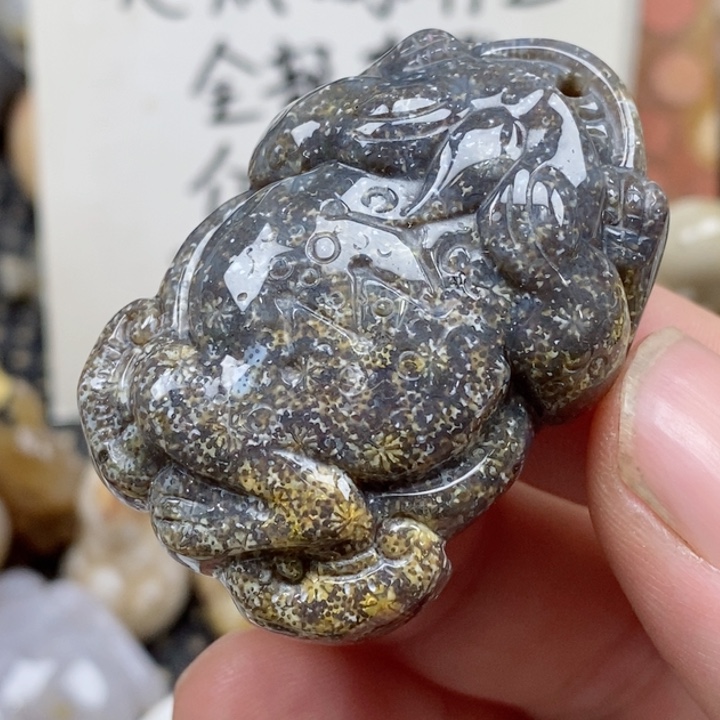 颈饰未镶嵌硅化珊瑚（珊瑚玉）