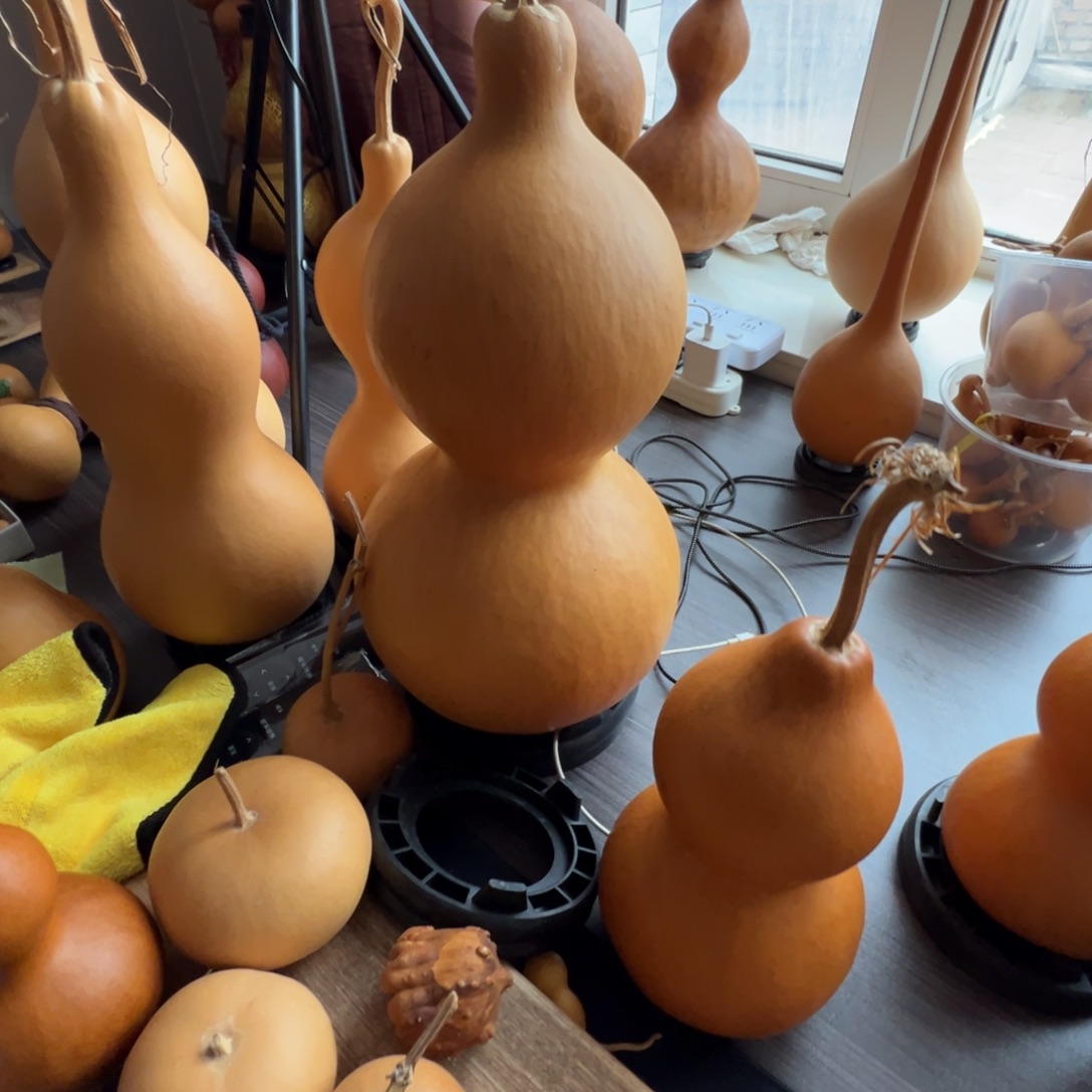 守***田木葫芦葫芦葫芦葫芦