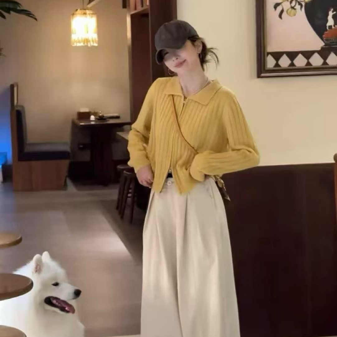 【张开心】韩系chic灰色双拉链翻领秋冬穿搭巨好看的针织上衣外套