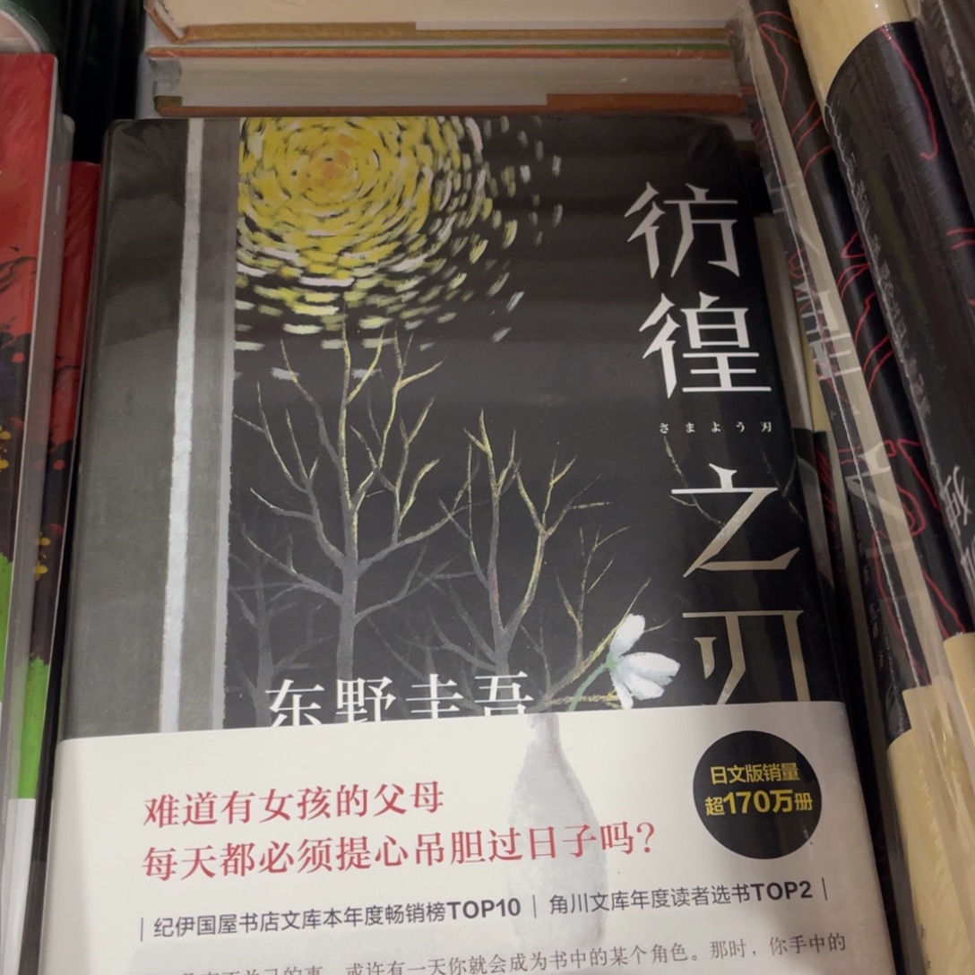 彷徨之刃精装一个