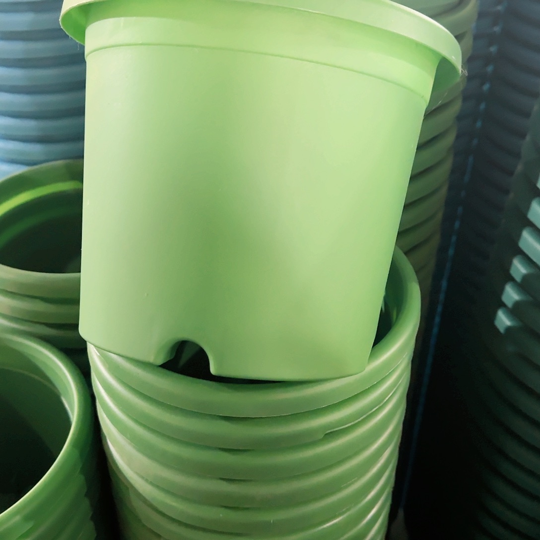 树脂特价3#草绿10个