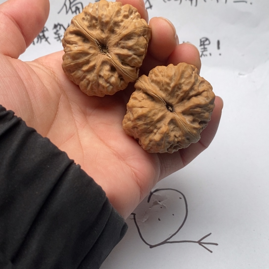 明***明好的我真的是一个很