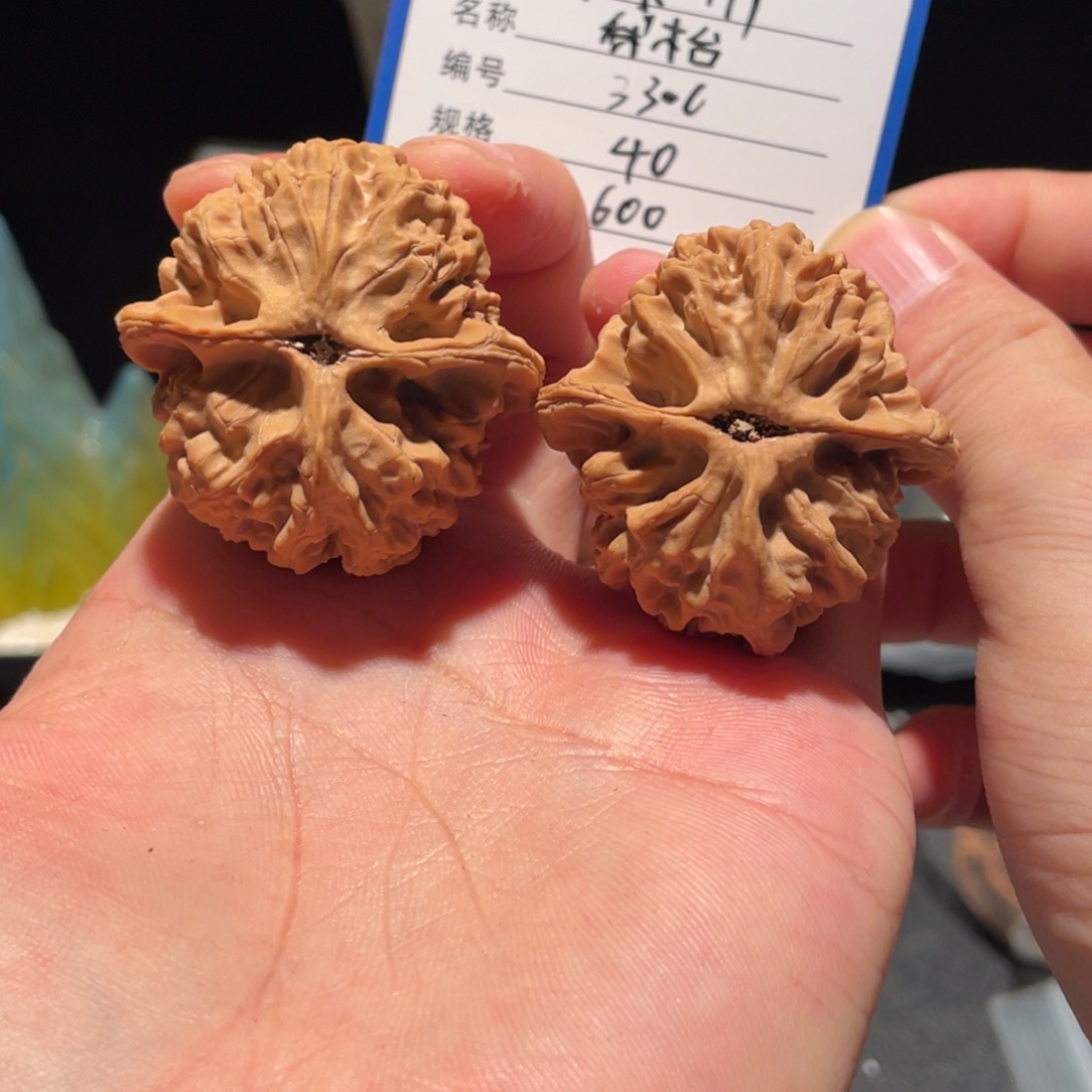 小***』原生树梨木台编号3306