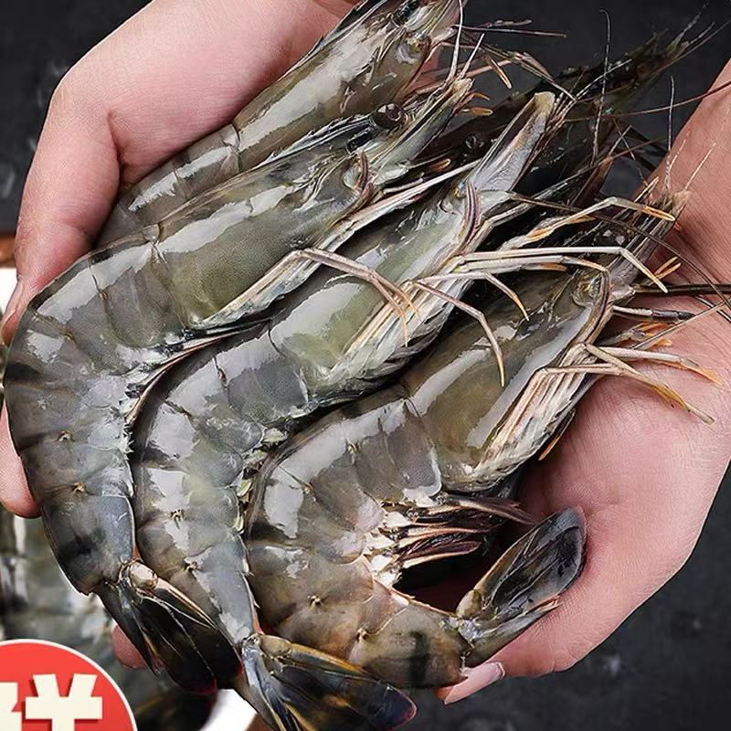 鲜冻黑虎虾 老虎虾 21-25规格 30-40只左右/盒