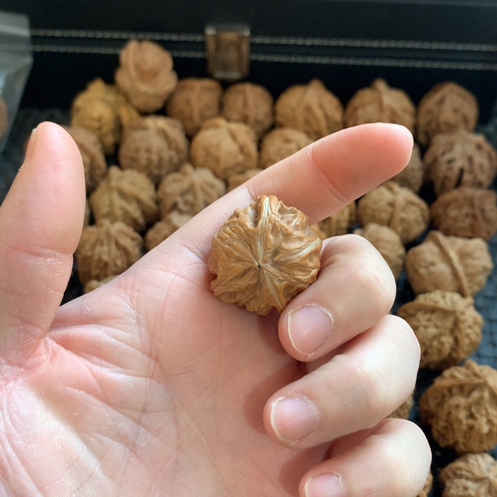 大***秋把件文玩核桃元宝