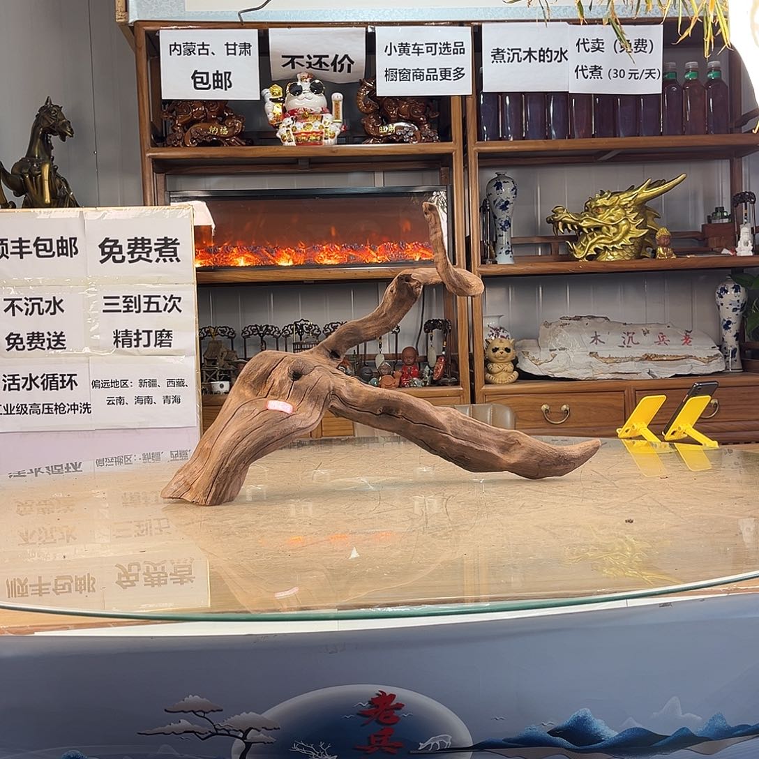 海***月紫柚木秒沉水，一木成景