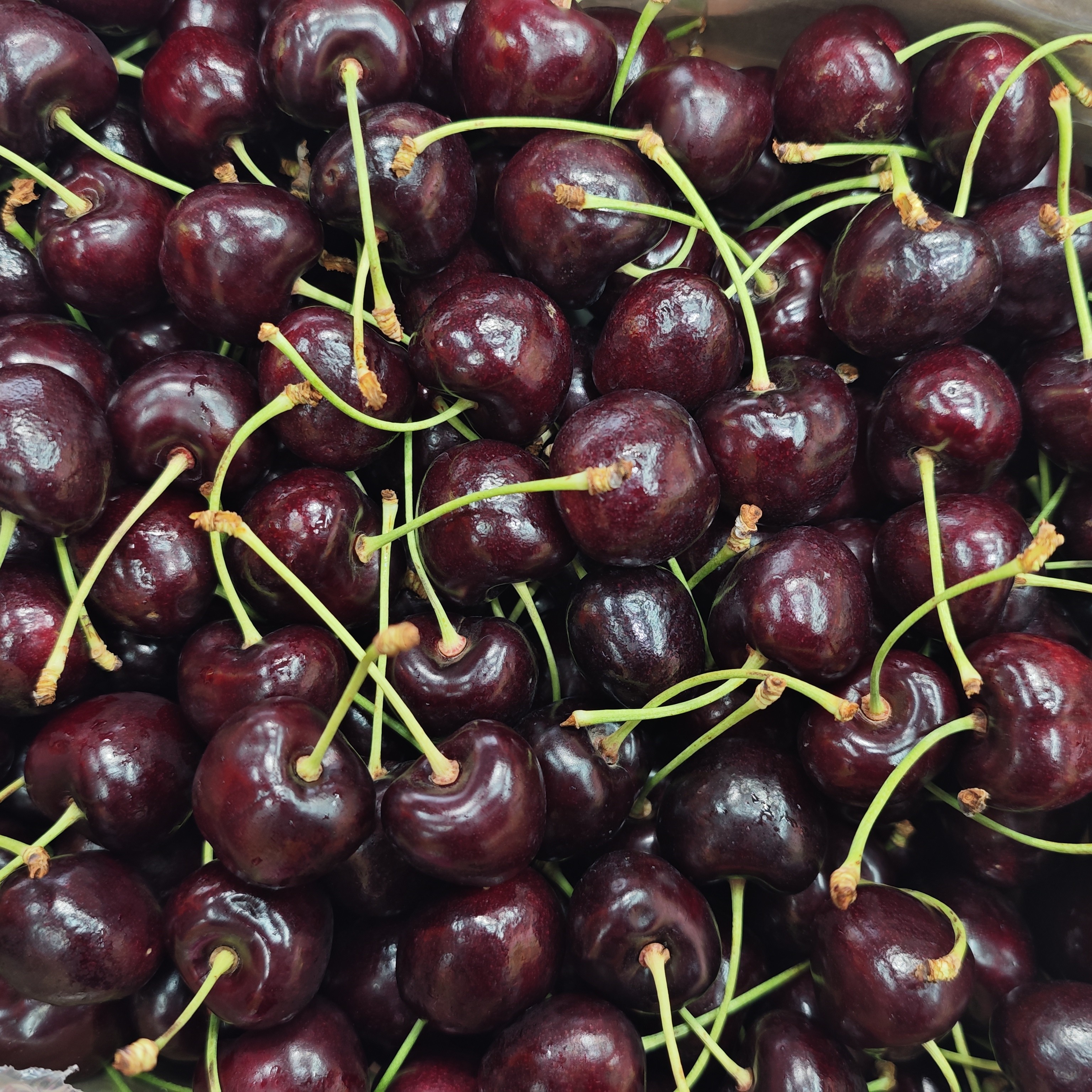 海运 瑞吉娜车厘子2JD值(净重3斤)智利