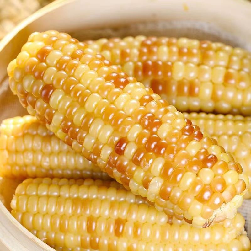 云南西双版纳香糯小玉米甜糯真空包装即食玉米棒香甜新鲜糯粘玉米