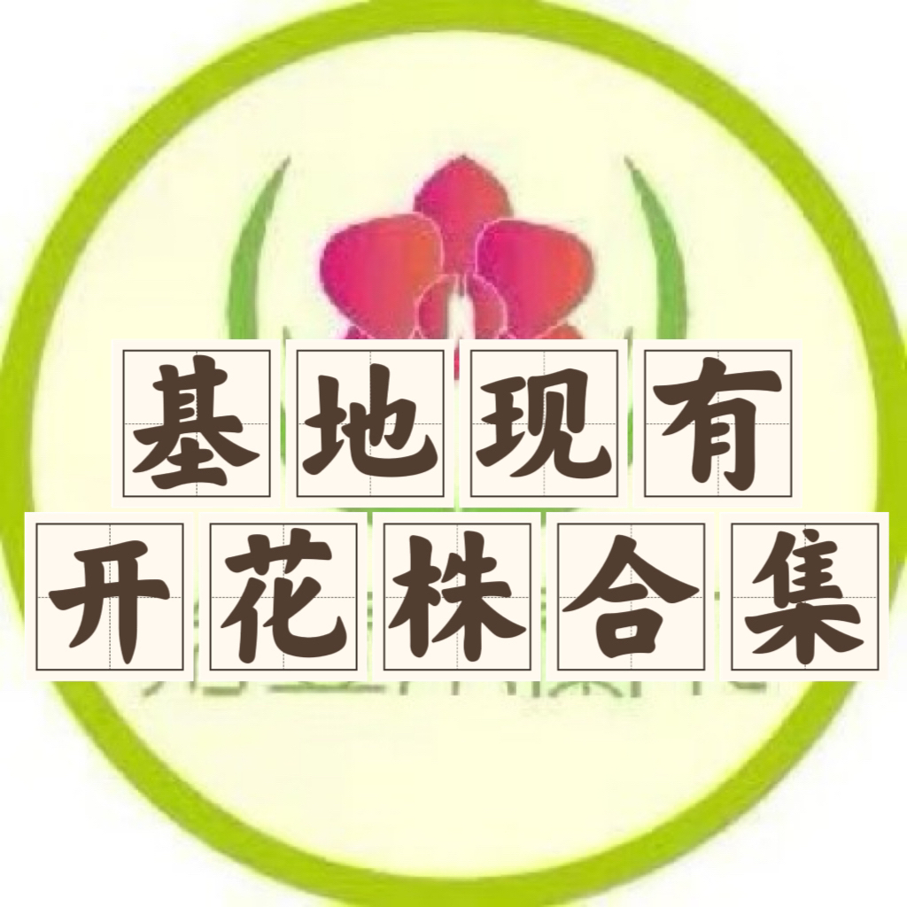 基地现有开花株汇总