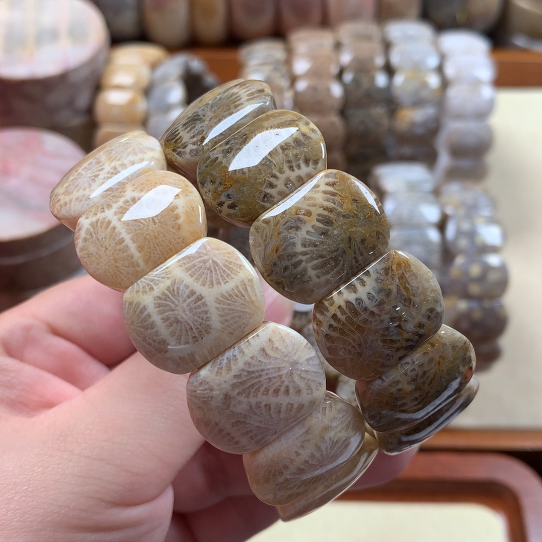 未镶嵌上新手排网花、龙骨300/条，可挑。05硅化珊瑚（珊瑚