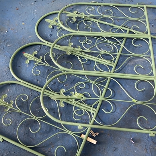 哈哈哈哈哈孤品哈哈