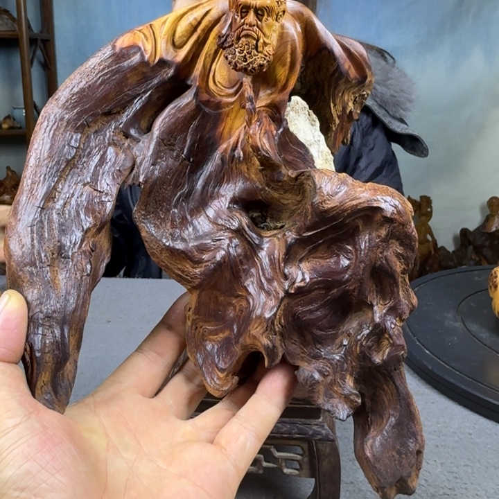 军***儿柏木（崖柏）太行崖柏