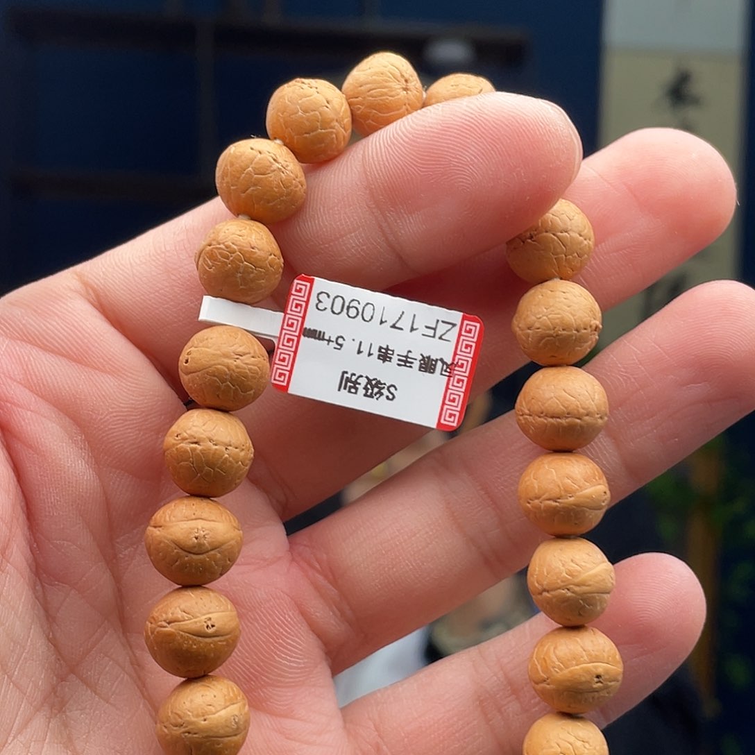凤眼菩提吊坠菩提5