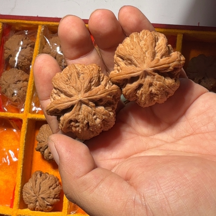 文玩核桃把件515号全品大粗筋40-42mm