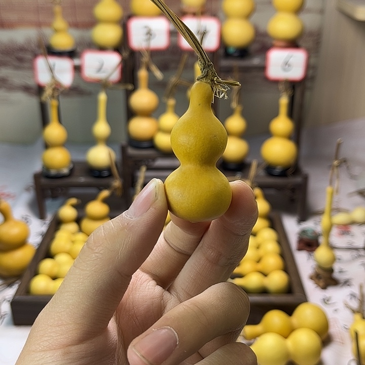 葫芦葫芦葫芦葫芦