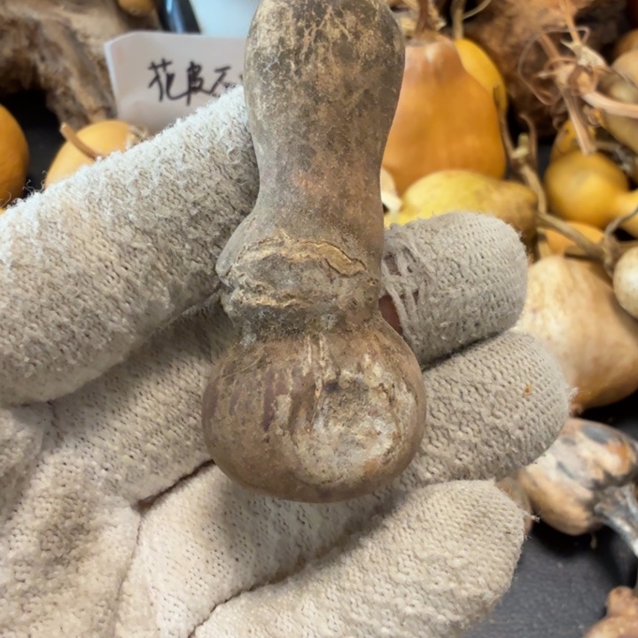 ****766666677777777778888