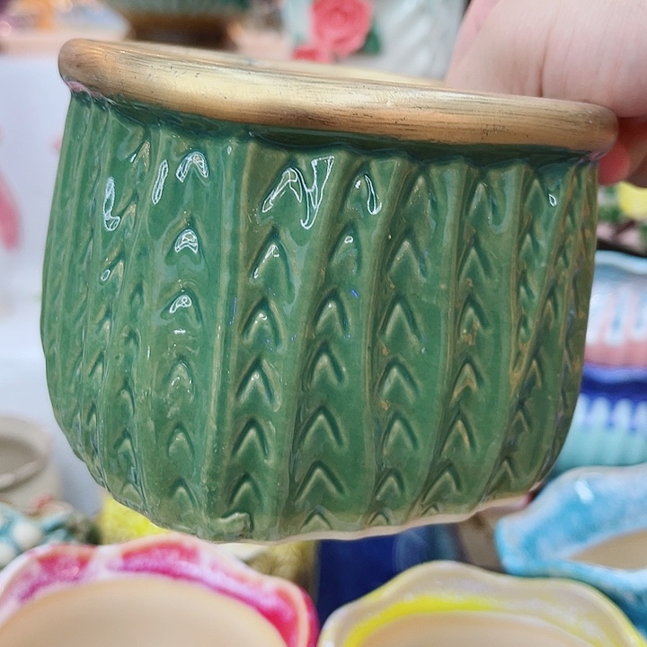 多肉植物陶瓷花盆