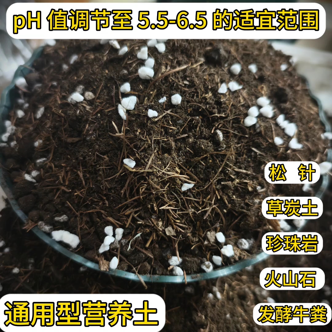 精配营养土养花种菜育苗专用土