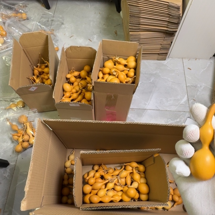 ****…精品手把蚂蚁肚葫芦