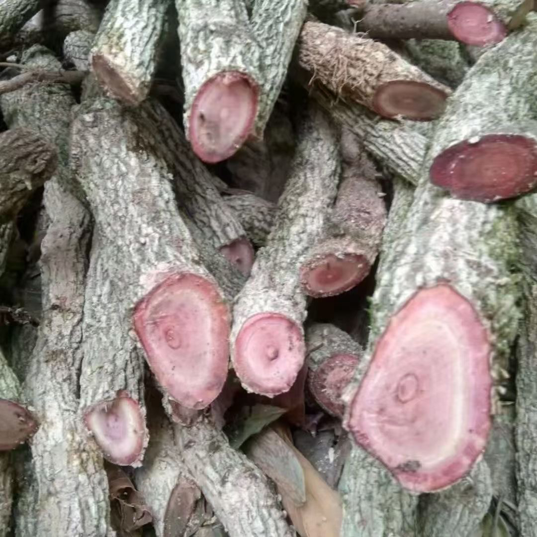 海风藤 干品500克一份海风藤