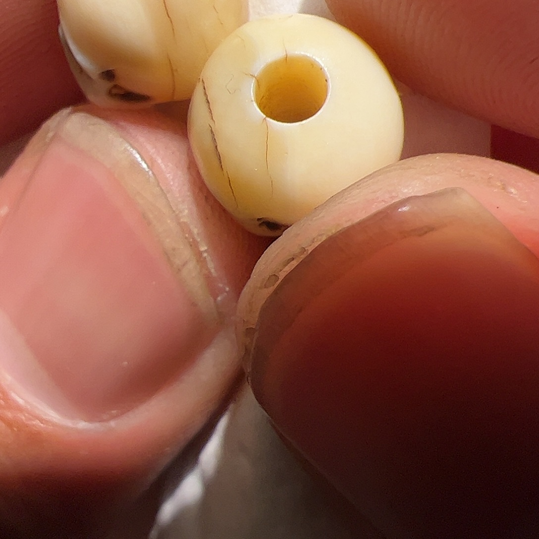 香榧木在这里的时候