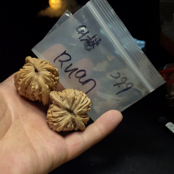 文玩核桃把件R**n四座楼