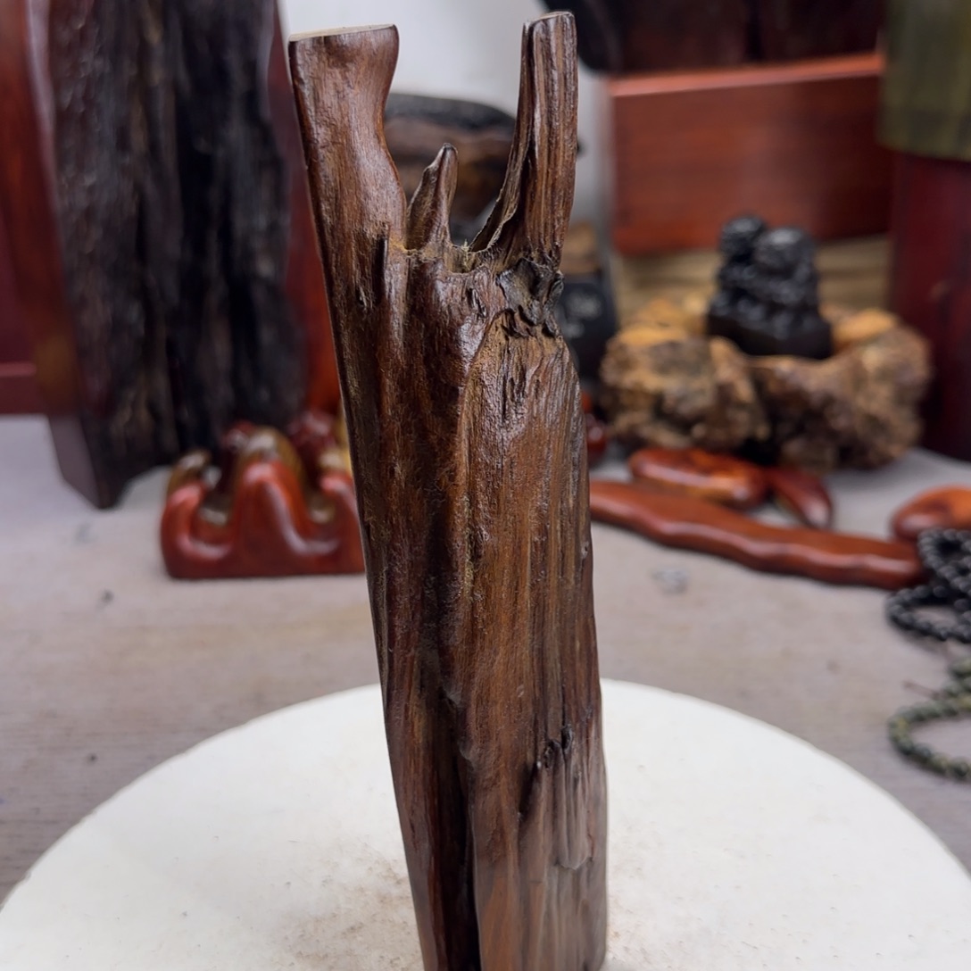 大果紫檀（缅甸花梨）王****7