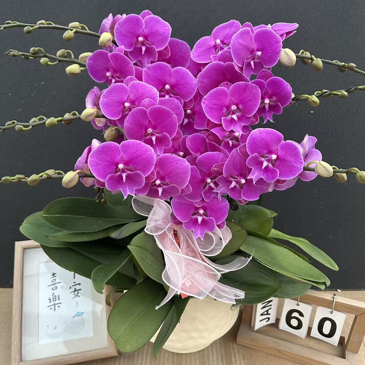 简香（火蝴蝶）高货蝴蝶兰精美艺术鲜花送人送礼鲜花花卉