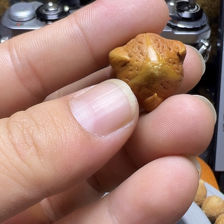 法***罗吊坠凤眼菩提龙爪19尺寸