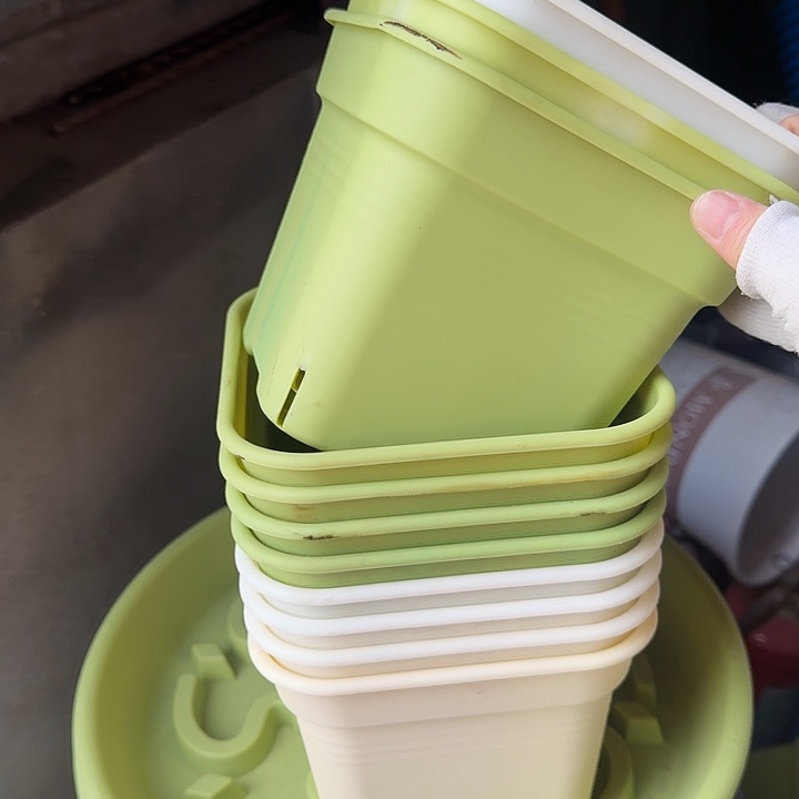 方16口径10个无托串色果绿门口