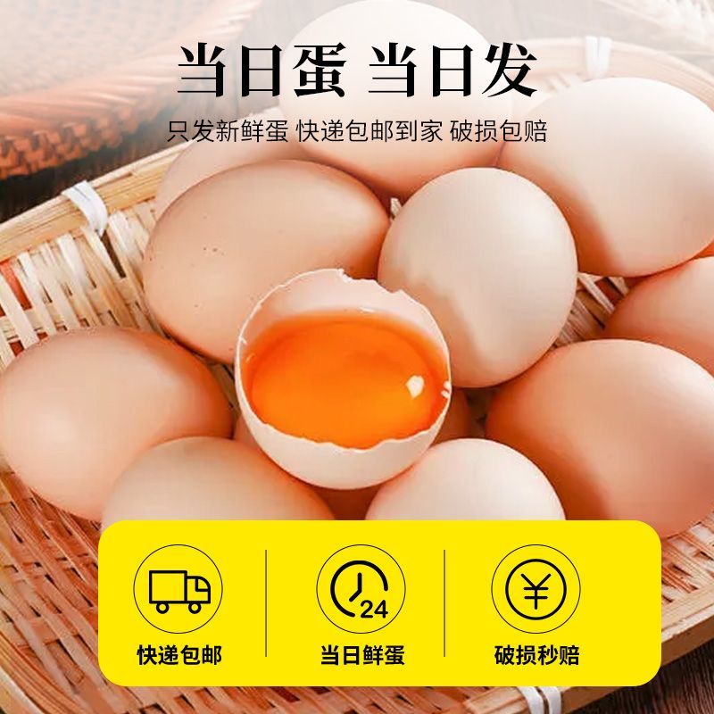 时光生鲜鲜鸡蛋农家散养柴鸡蛋固始笨鸡蛋土鸡蛋无药物无激素
