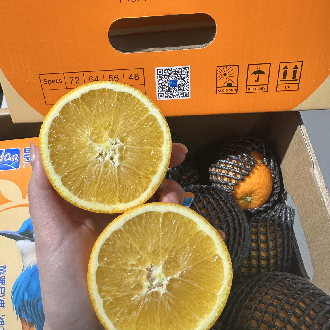 赣南脐橙晏蓝橙8斤