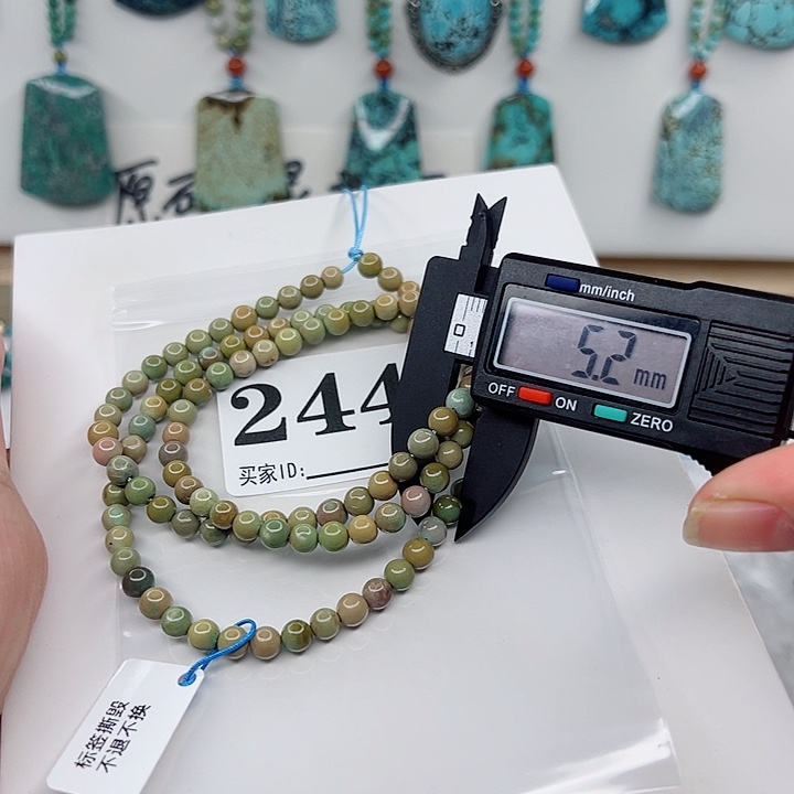 绿松石颈饰未镶嵌