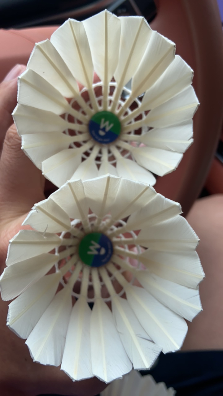 【七号】鹅大刀对标亚七大师六翎美六耐打兼顾飞行