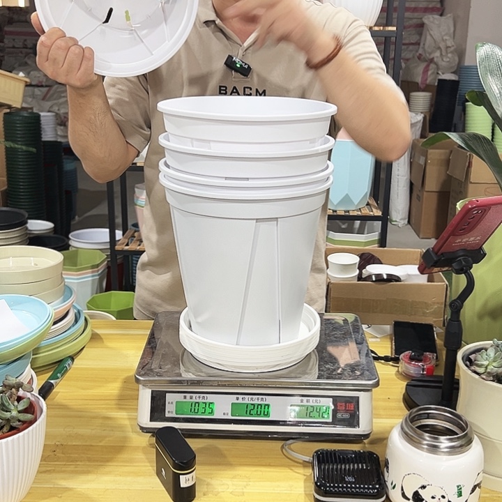 青山口24高24白色带托5只